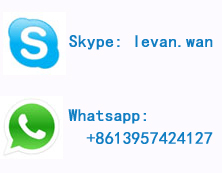 the qr code